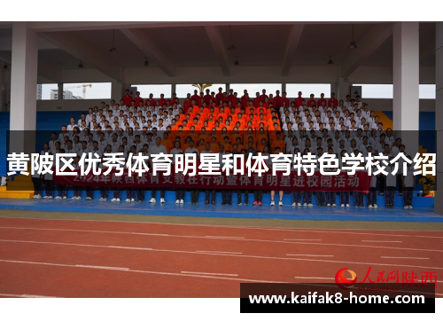 黄陂区优秀体育明星和体育特色学校介绍